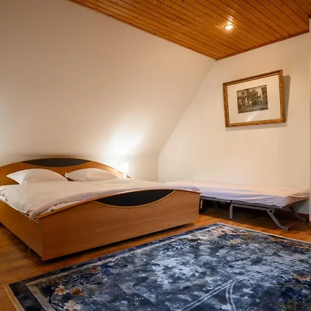 Le Sapin - Les 4 Vents Apartment Thannenkirch